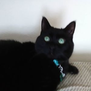 Meet your Posher, Pamela